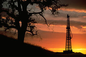 SunsetTree.jpg (29965 bytes)